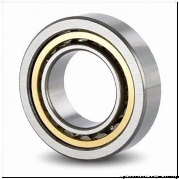 FAG NUP203-E-M1A  Cylindrical Roller Bearings