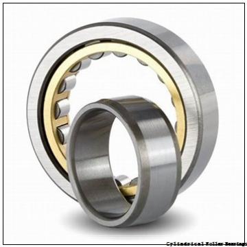 160 mm x 290 mm x 48 mm  FAG NUP232-E-M1  Cylindrical Roller Bearings