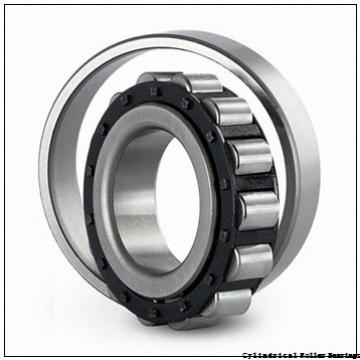 FAG NUP318-E-M1-F1-C4  Cylindrical Roller Bearings