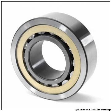 FAG NUP318-E-M1A-C3  Cylindrical Roller Bearings
