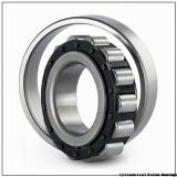 1.772 Inch | 45 Millimeter x 2.953 Inch | 75 Millimeter x 0.906 Inch | 23 Millimeter  NSK NN3009TBKRE44CC1P4  Cylindrical Roller Bearings