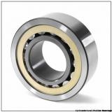 140 mm x 300 mm x 102 mm  FAG NUP2328-E-M1  Cylindrical Roller Bearings